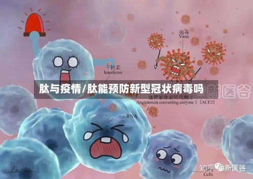 肽与疫情/肽能预防新型冠状病毒吗-第1张图片