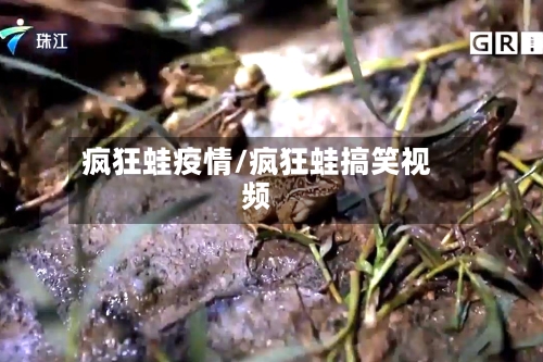 疯狂蛙疫情/疯狂蛙搞笑视频-第1张图片