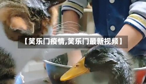 【笑乐门疫情,笑乐门最新视频】-第2张图片