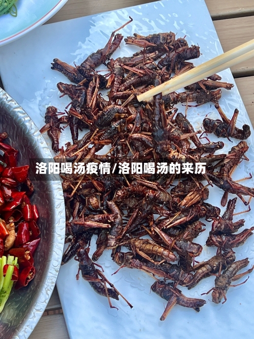 洛阳喝汤疫情/洛阳喝汤的来历-第1张图片