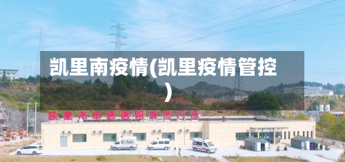 凯里南疫情(凯里疫情管控)-第1张图片