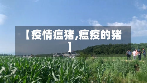 【疫情瘟猪,瘟疫的猪】-第1张图片