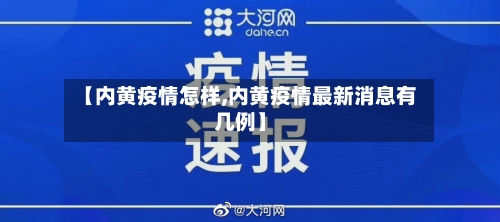 【内黄疫情怎样,内黄疫情最新消息有几例】-第1张图片
