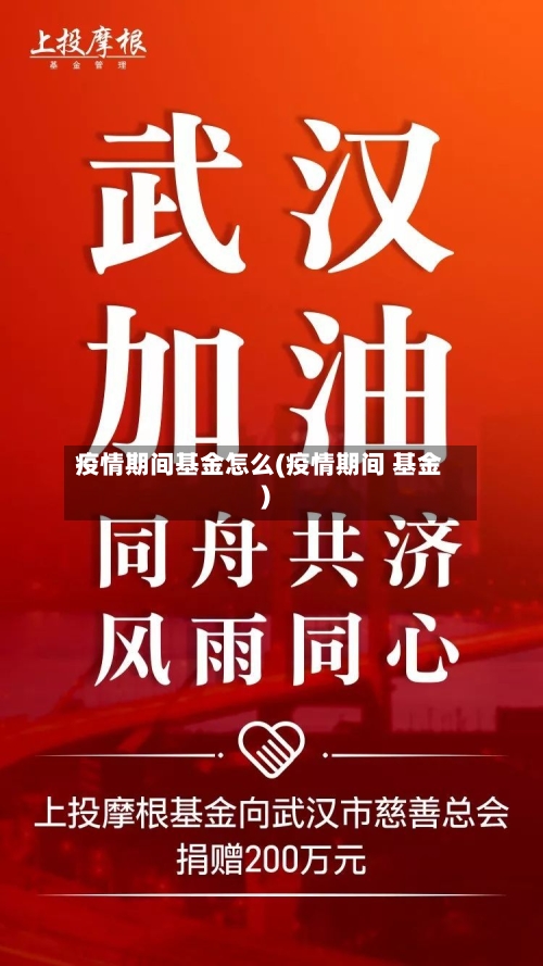 疫情期间基金怎么(疫情期间 基金)-第1张图片