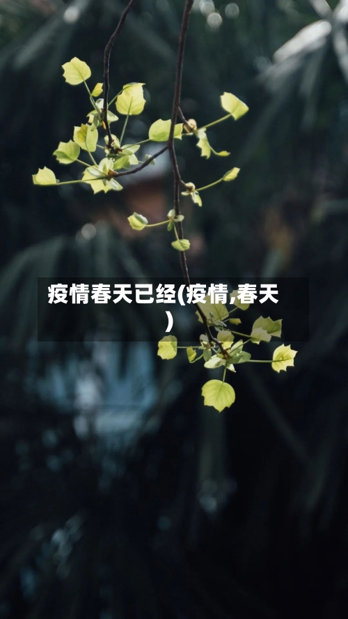 疫情春天已经(疫情,春天)-第1张图片