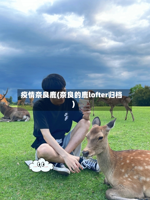 疫情奈良鹿(奈良的鹿lofter归档)-第1张图片