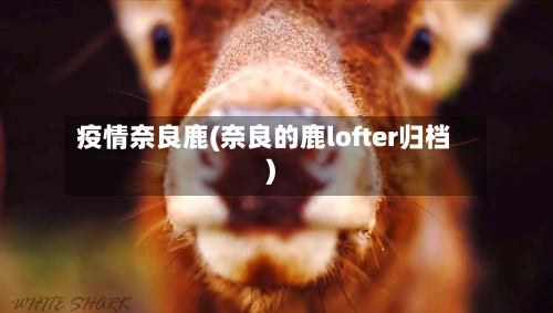 疫情奈良鹿(奈良的鹿lofter归档)-第3张图片