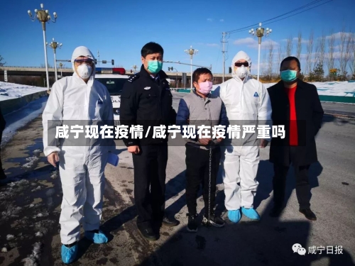 咸宁现在疫情/咸宁现在疫情严重吗-第1张图片