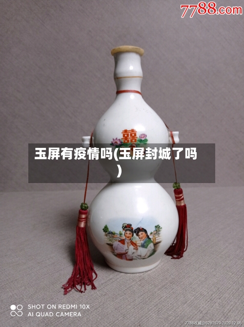 玉屏有疫情吗(玉屏封城了吗)-第1张图片