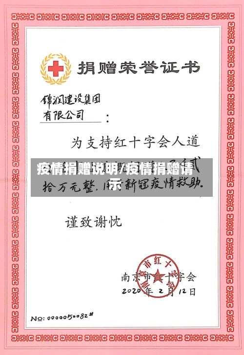 疫情捐赠说明/疫情捐赠请示-第3张图片