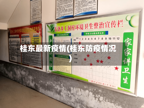 桂东最新疫情(桂东防疫情况)-第1张图片