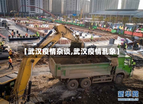【武汉疫情杂谈,武汉疫情乱象】-第1张图片