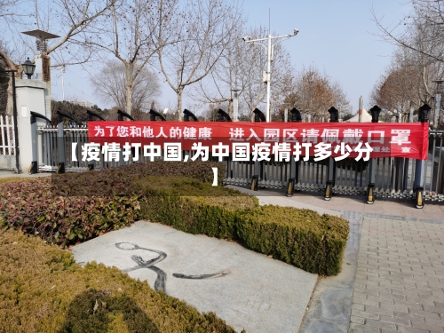 【疫情打中国,为中国疫情打多少分】-第2张图片