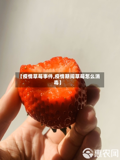 【疫情草莓事件,疫情期间草莓怎么消毒】-第3张图片