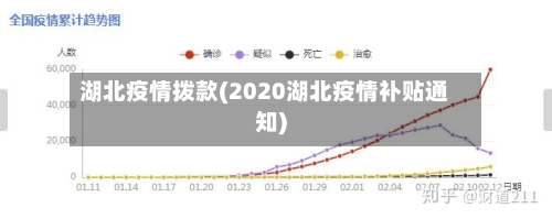 湖北疫情拨款(2020湖北疫情补贴通知)-第3张图片
