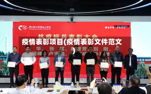 疫情表彰项目(疫情表彰文件范文)-第1张图片