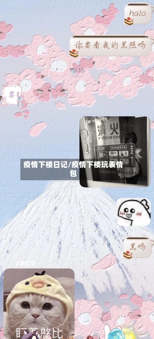 疫情下楼日记/疫情下楼玩表情包-第3张图片